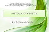 2da Clase Histologia Vegetal