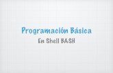 Programación Básica en Shell BASH