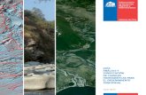 Guía de análisis y zonificación de cuencas hidrográficas para el ordenamiento territorial.pdf