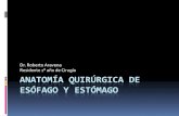 Anatomia Quirurgica Del Esofago y El Estomago