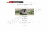 Estudio de Especies Cites de Carnívoros Peruanos
