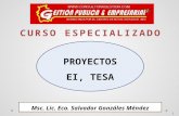 Proyectos Ei Tesa