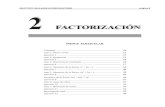 Factorizacion (2)