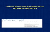 asfixia perinatal encefalopata hipoxico isquemica.pptx