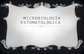 Microbiología estomatológica