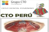 Ginecología 1 Rp Presencial 2da Vuelta