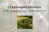 Presentation1 Criptosporidiosis.pptx