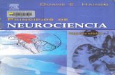 HAINES - Principios de Neurociencia 2da Edición.pdf