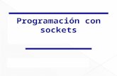 Programación de Sockets con JAVA.ppt