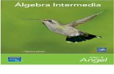 Álgebra Intermedia-Allen R. Angel