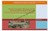 Estrategia Regional Forestal.pdf