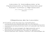 Apuntes Introduccion a Factorizacion Por Factor Comun y Agrupacion