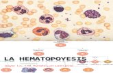 Clase 05 Hematopoyesis Celulas Maduras e Inmaduras
