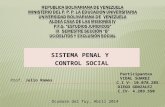 Sistema Penal y Control Social Diego