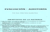 Auditoria Salud Publica.ppt