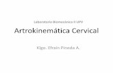 04 Artrokinematica Cervical (1)