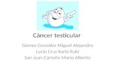 Cáncer testicular (1)