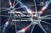 Poliomelitis y Paralisis Flacida Aguda