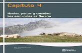 Montes, pastos y cañadas - los comunales de Navarra