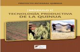 Proyecto Integral de Quinua