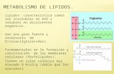 Metabolismo de Lipidos (1)