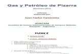 Informe 2011 J.C. Caminatta (AVACAM) - Shale Oil & Gas - Neuquen Argentina