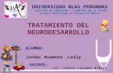 NDT - Tto Del Neutodesarrollo - LESLY JONDEC