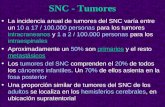 SNC - Tumores 2011