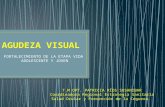 Agudeza Visual Salud Ocular