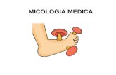 Micologia Medica Clase 1 Parte 1