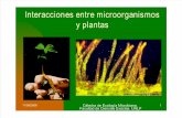 Interacciones Entre Microorganismos y Plantas