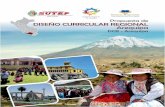 72731124 Propuesta de Diseno Curricular Regional Arequipa