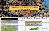 Memahami Pola Populasi Ekologi