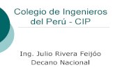 Colegio_Ingenieros_Peru estructura organica.pdf