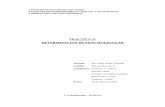 PRACTICA 1 determinacion de pesos moleculares.pdf