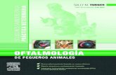 Oftalmología de pequeños animales. Serie Soluciones Saunders en la práctica veterinaria.pdf
