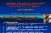 Labio Leporino Dr Negrete Borrador 1206651416228939 3