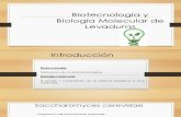Biotecnología y  Biología Molecular de Levaduras.pptx