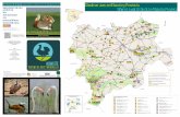 Ver Aves en Albacete y Provincia (2)