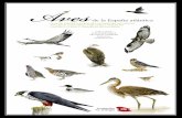 guia de aves atlánticas de España