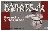 Karate de Okinawa Kyoshi Arakaki