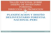 Diseño IFN-PERU 28-09-10