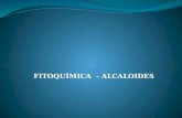 Alcaloides 2 (1)
