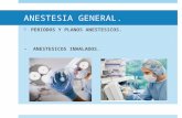 Terapeutica Anestesia