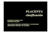 Clasificacion de Placentas