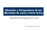 SUL - Situación y Perspectivas de los Mercados de Lana y Carne Ovina