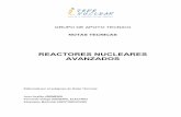 GAT Reactores Nucleares Avanzados 01-02-01