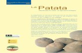 Manual de Cultivo de Patata Ecológica