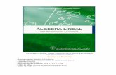 Algebra Lineal Para Administracion y Economia