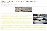 Blank_Arqueologia de la mezquita de cordoba.pdf